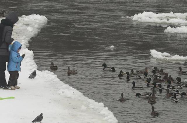 Vasario 3-ioji: vardadieniai, astrologija