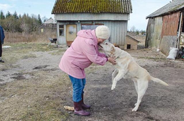 Išvažiavo gyventi į Klaipėdą, palikę šunis prie būdos