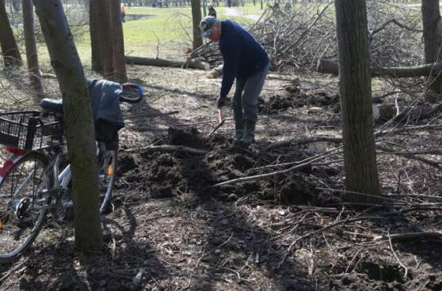 Prieš tiesiant kelią  - aistros dėl medžių