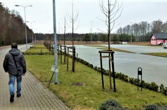 Stringa Medelyno kvartalo vystymo projektas