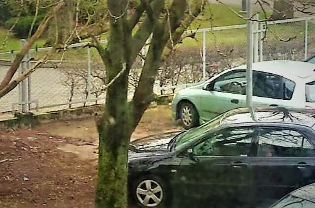 Vakarų Lietuvos automobilių statymo ypatumai