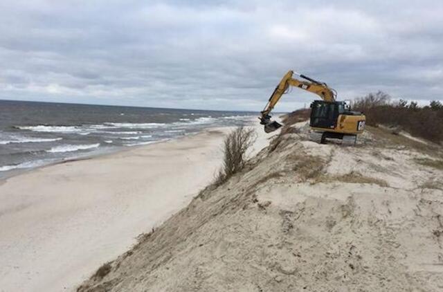 Kuršių nerijoje jau tvarkomas apsauginis kopagūbris