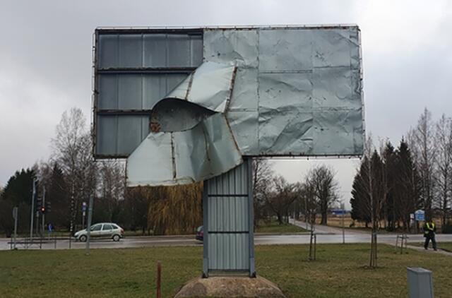 Seimo narį rinksime rugsėjį