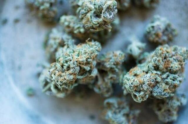 Įkliuvo nuo narkotikų apsvaigęs BMW vairuotojas