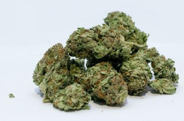 Įkliuvo narkotikų turėjęs Volvo vairuotojas