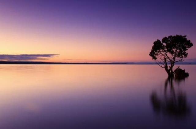 Ketvirtadienio horoskopas 12-ai zodiako ženklų