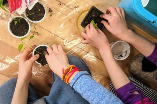 Klaipėdoje nori statyti naują mokyklą