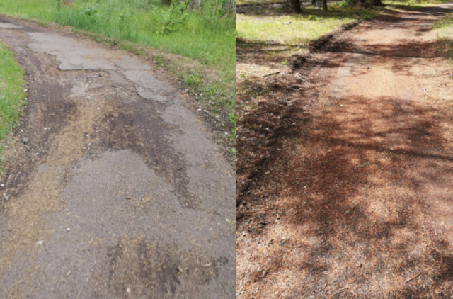 Detektyvas: kas pradangino dviračių taką?