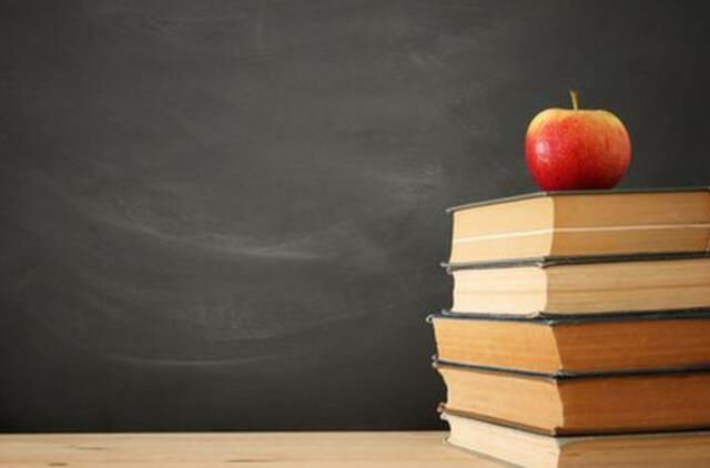 Ministras palaiko mokslo metų ilginimą