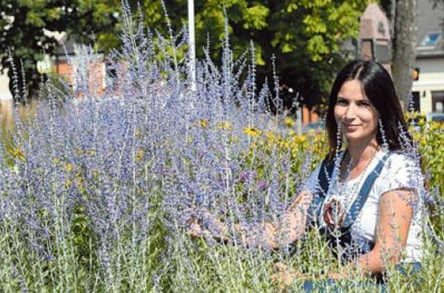 Apie „olandišką bangą“ ir ko dar trūksta Kretingai