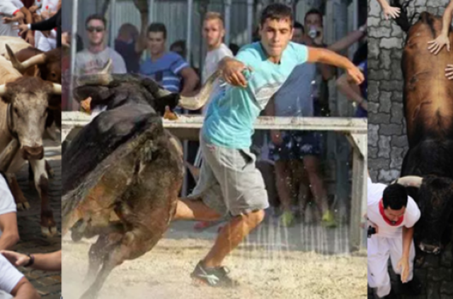 Pamplonoje per bėgimą su buliais subadyti 2 žmonės