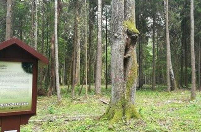 Žemaitijos nacionaliniame parke – naujas lankytinas objektas