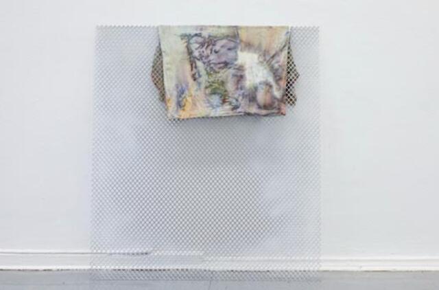 Klaipėdoje atidaroma Agnės Juodvalkytės paroda