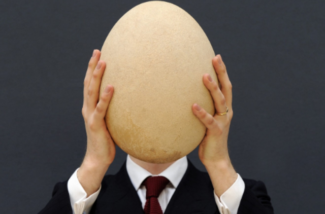 Smegenų evoliucija ir degradacija. Kitas požiūris