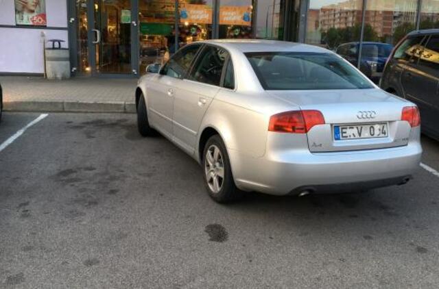 Vakarų Lietuvos automobilių statymo ypatumai