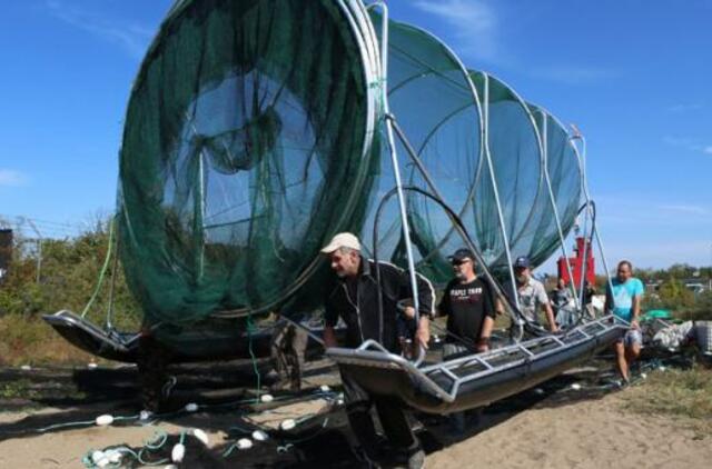 Žvejų ir ruonių kare išbandomas naujas "ginklas"