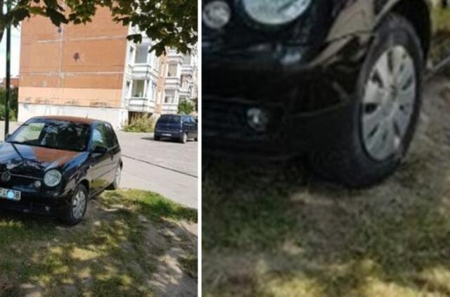 Automobiliui stovėti ant žolytės daug minkščiau