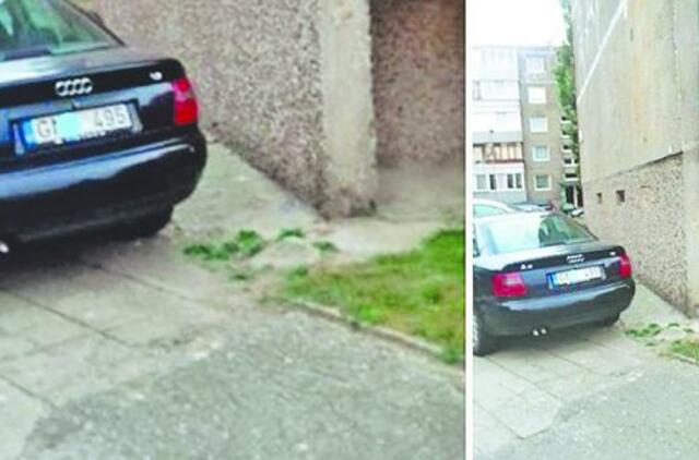 Skaitytojo nuomonė: "Patys pjauna šaką, ant kurios sėdi"