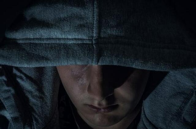 Suvestinė: Siautėjo vagys