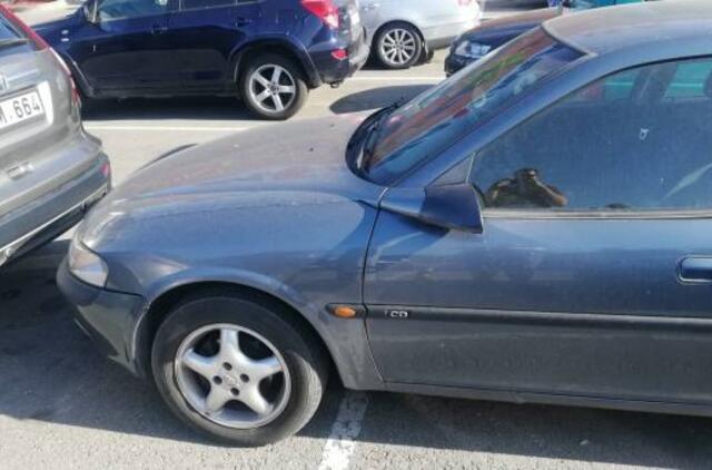 Vakarų Lietuvos automobilių statymo ypatumai