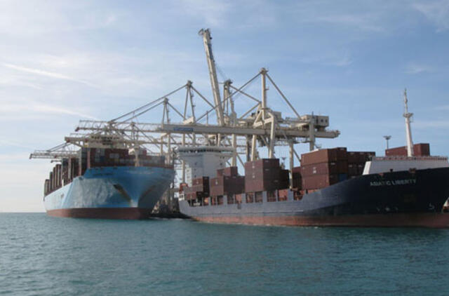 Koperio uoste auga alyvuogės