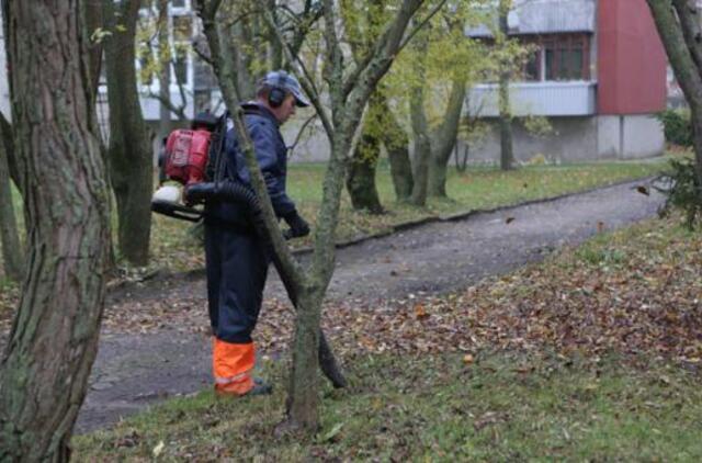 Ragina intensyviau šluoti lapus