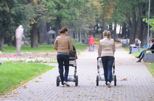 Šeimos kortelės: remiančiųjų galėtų būti kur kas daugiau