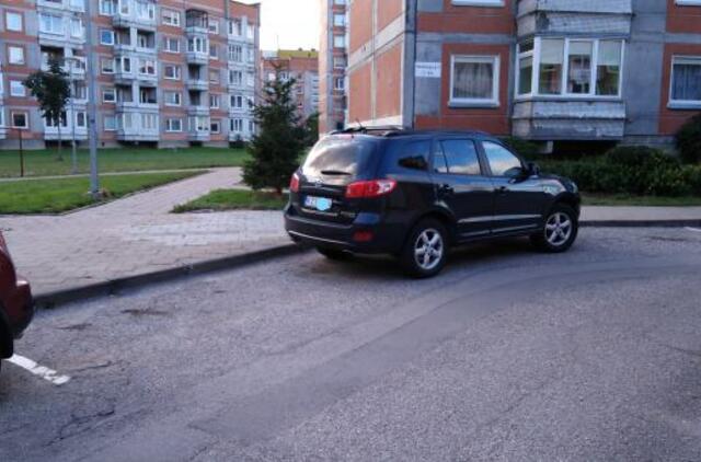 Vakarų Lietuvos automobilių statymo ypatumai