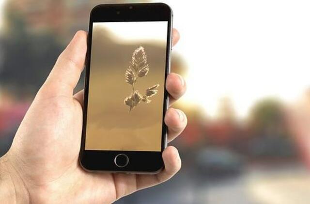 Kvailas sukčiautojo poelgis nustebino net auką