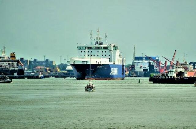 Laivų greičio mažinimas – ne panacėja