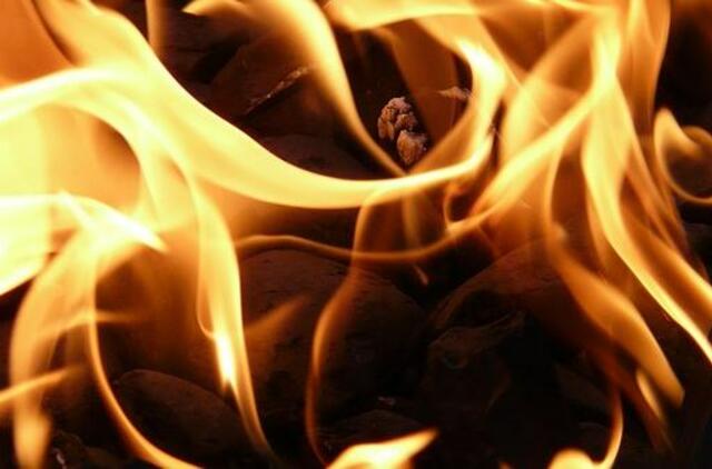 Laukininkų gatvėje degė butas