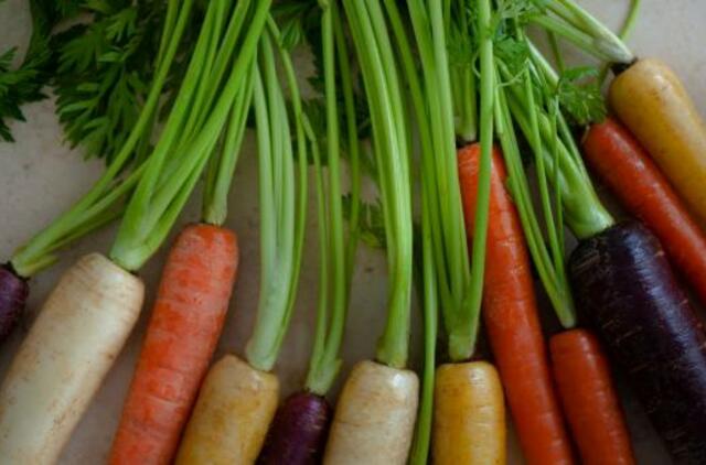 Patiekalai iš morkų užtikrina sveiką mitybą ir skonių atradimus