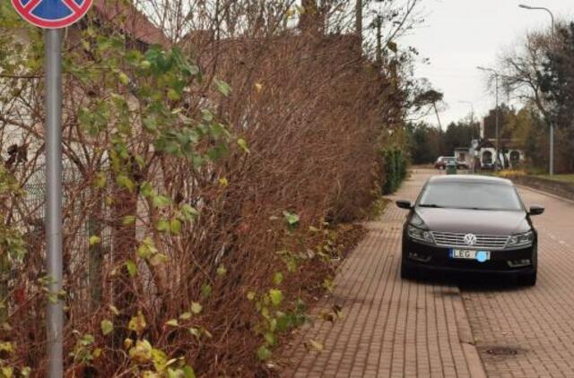Vakarų Lietuvos automobilių statymo ypatumai
