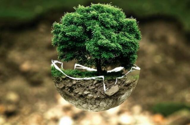 Ekspertų patarimai, kaip pradėti gyventi ekologiškiau: dabar tam palankiausias metas