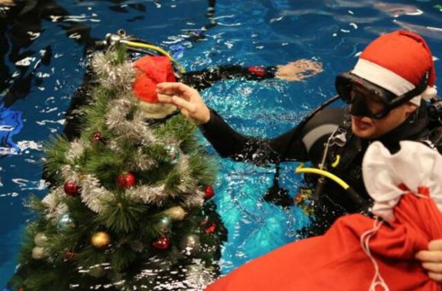 Prie 9 metrų gylyje panardintos eglutės kiekvieno laukia staigmena