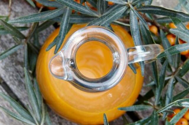 Šaltalankis – atjauninantis organizmą stebuklas