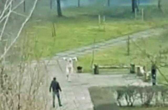 Teismas trims mėnesiams suėmė nuogą mokyklos teritorijoje sulaikytą vyrą