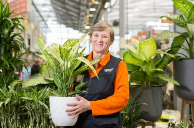 Ekspertė atskleidė 2020 metų kambarinių augalų tendencijas