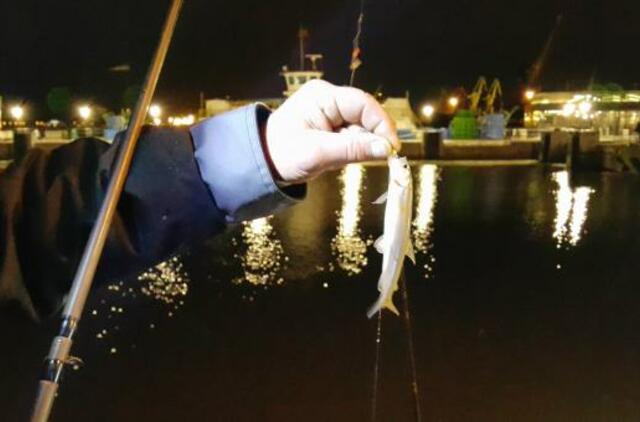 Juodoji stintmečio pusė: dėl prišiukšlintos Smiltynės – kaltųjų paieškos