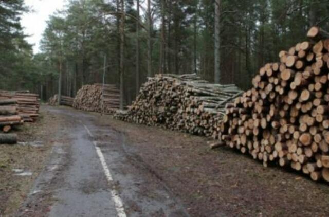 Siūloma nauja valstybinės medienos pardavimo tvarka kelia sumaištį