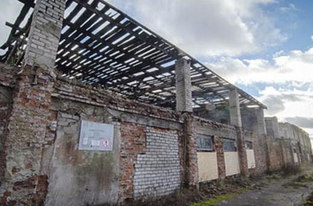 Apleistos griuvenos – lyg murzinos dėmės Kretingos paveiksle