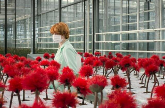 Filmas „Laimės gėlelė“ atskleidžia amžinos laimės siekimo keliamą grėsmę