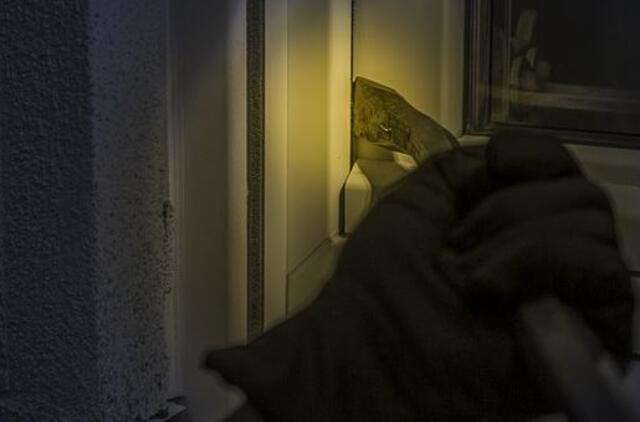 Suvestinė: smūgis lazda, girtas BMW vairuotojas ir apvogtas namas