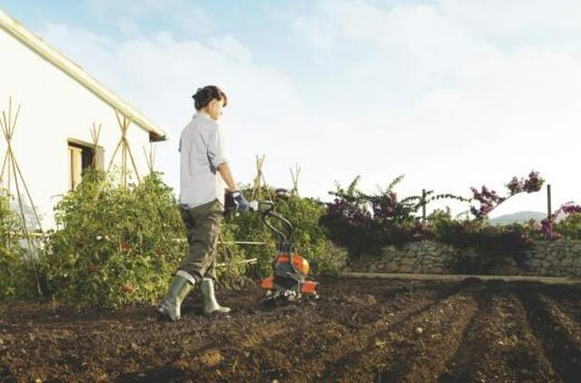 Pavasariniai darbai kieme, kuriuos atlikti reikia jau dabar