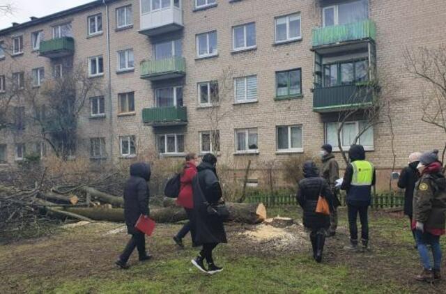 Ėmus kirsti medžius valdininkus užgriuvo kaltinimų lavina