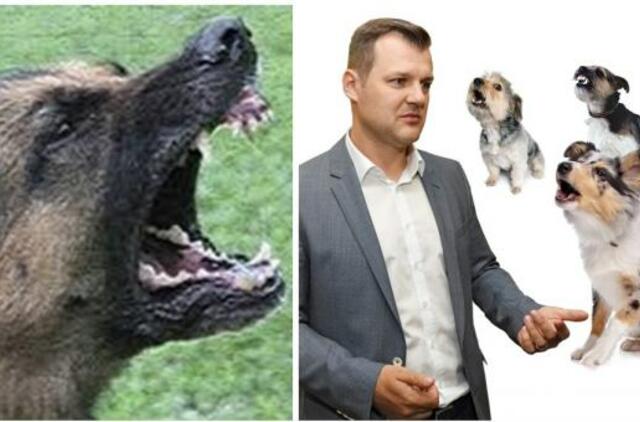 G.Paluckas neapsikentė konservatorių lojimo