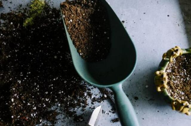 Karantino metu – į sodą ir kiemą: ekspertų patarimai, kaip saugiai tvarkyti žaliąsias atliekas