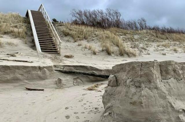 Kuršių nerijoje pradėtas tvarkyti audros aptalžytas kopagūbris