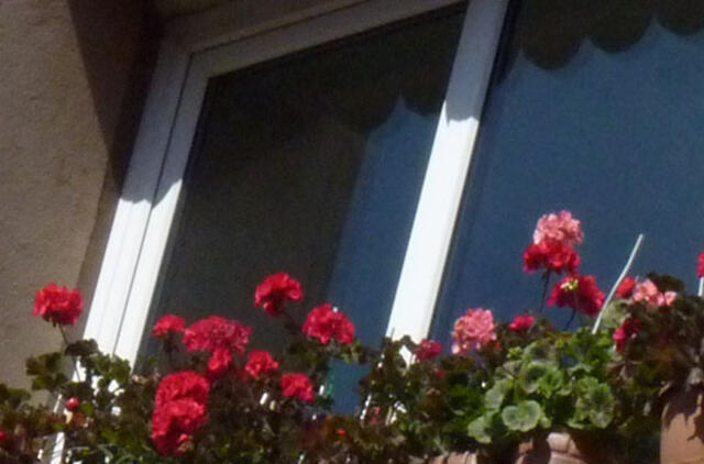 Gyvenimas ne tik pro langą: Vargas su mėnulio fazėm