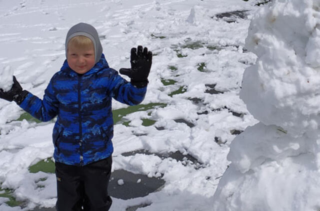 Gyvenimas pro langą: Gegužio žiedai ir... dienoraščiai